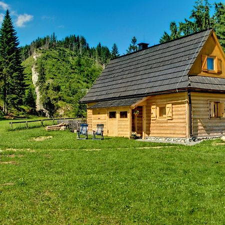 Jedroskowe Chatki Witów Kültér fotó