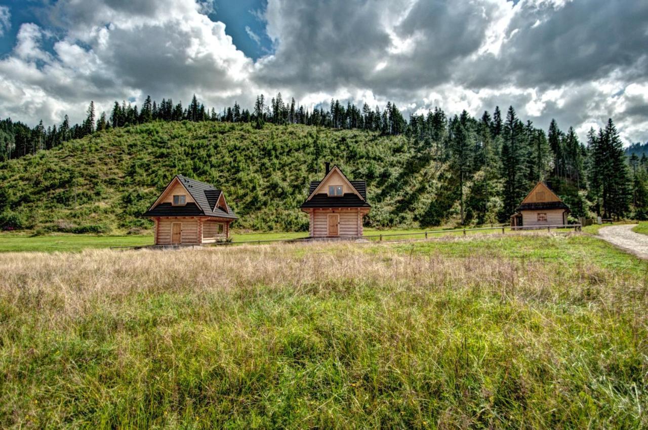 Jedroskowe Chatki Witów Kültér fotó